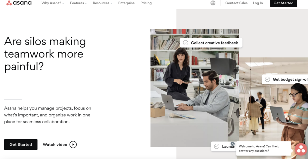 Asana homepage