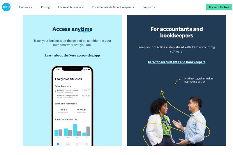 screenshot for Xero website access plan